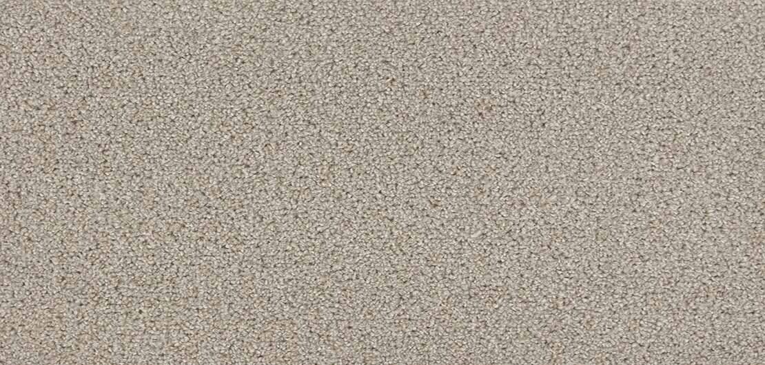 Iona Coral Carpet Flooring