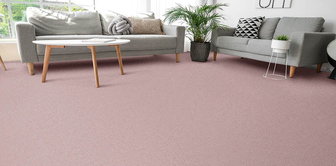 Pink Twist Pile carpet in living room