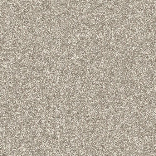 Veneto Flax Carpet Flooring