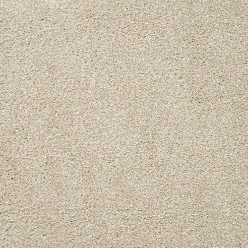 Aria Cream Carpet Flooring