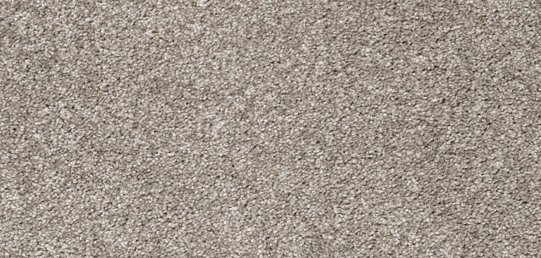 Aria Peat Carpet Flooring