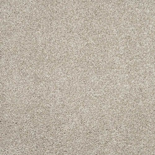 Aria Taupe Carpet Flooring