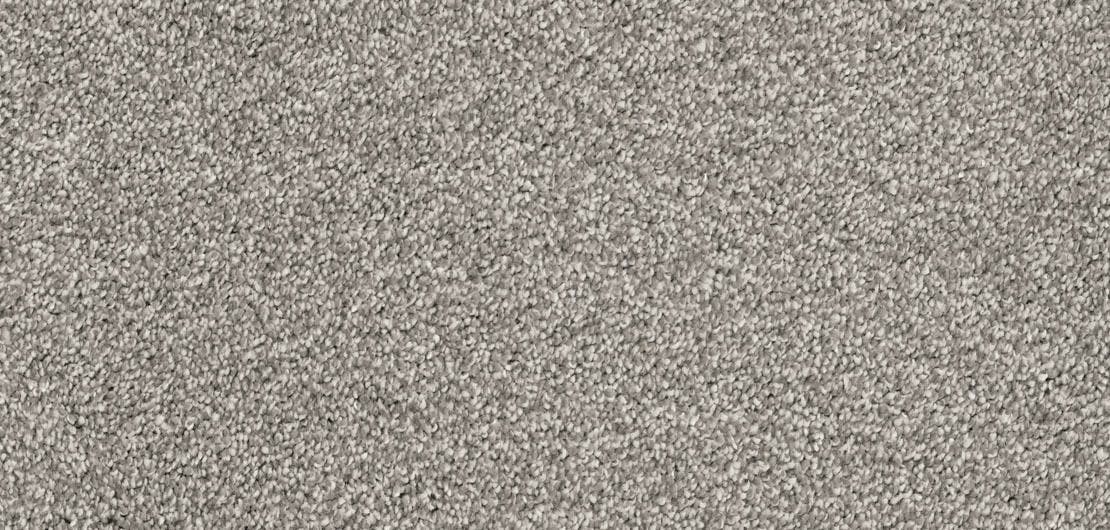 Aria Mist Carpet Flooring