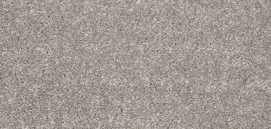 Aria Oca Carpet Flooring