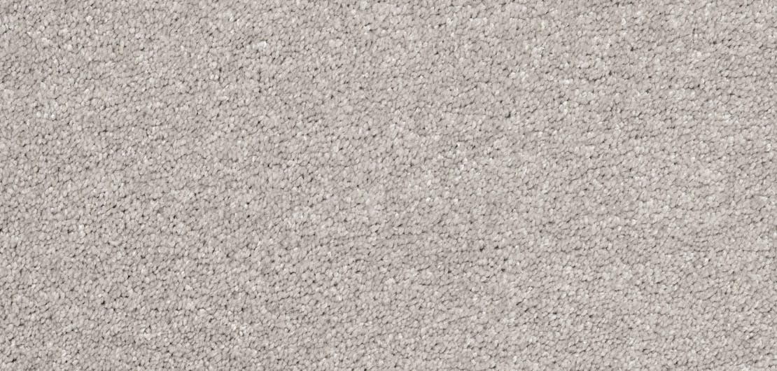 Aria Argento Carpet Flooring