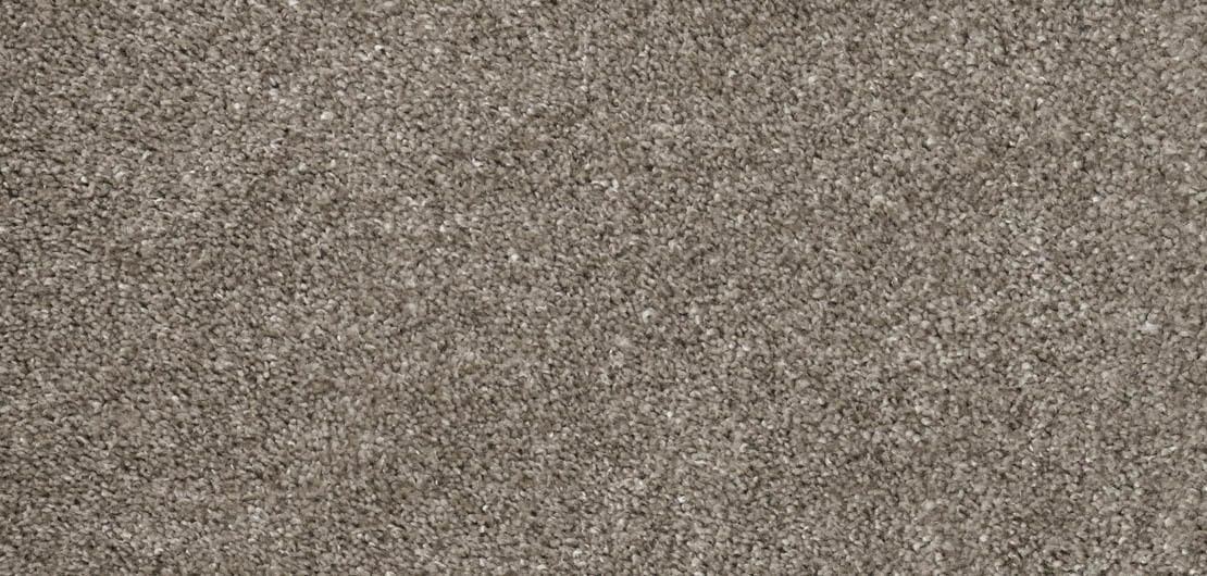 Charme Peat Carpet Flooring