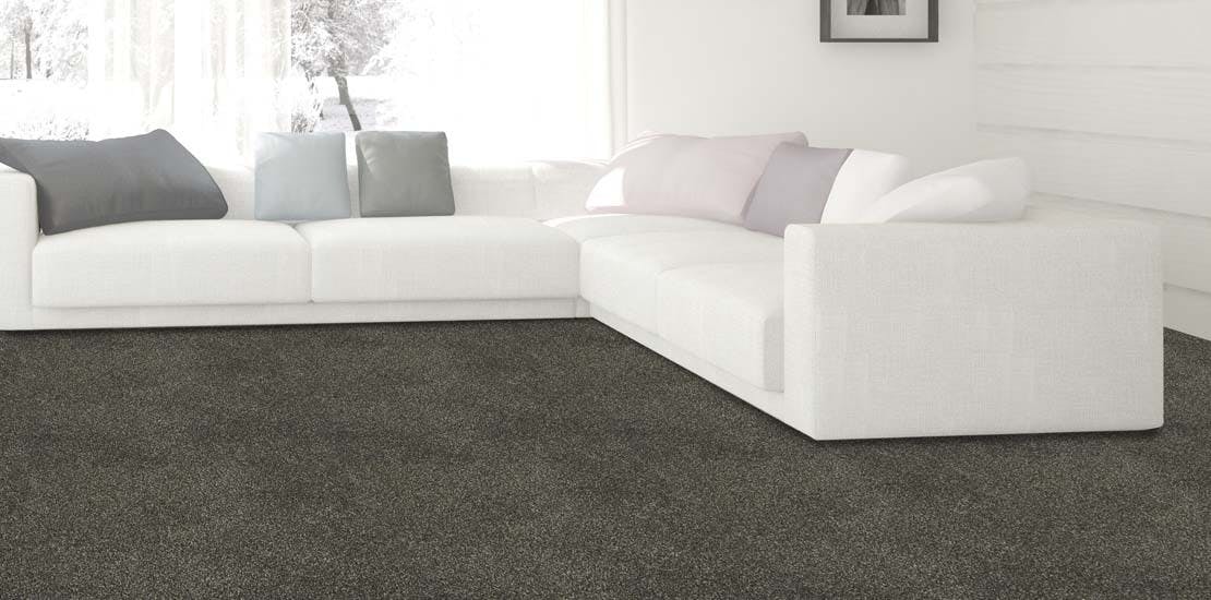 Soft Touch Carpet in Living Room