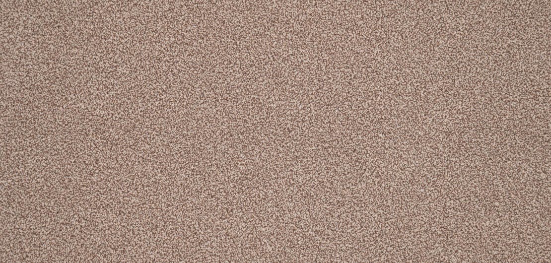 Elegance Noisette Carpet Flooring