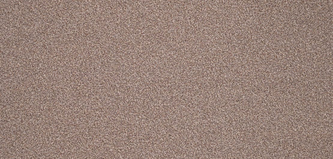 Elegance Hedgehog Carpet Flooring