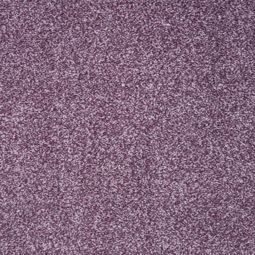 Harmony Amethyst Carpet Flooring