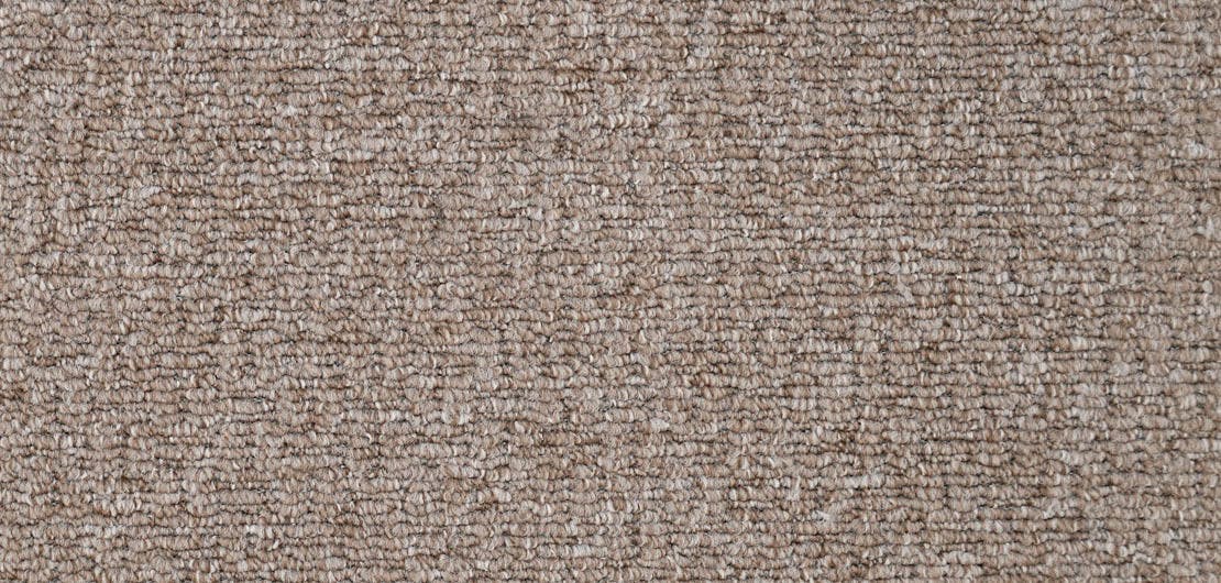 Sahara Walnut Carpet Flooring