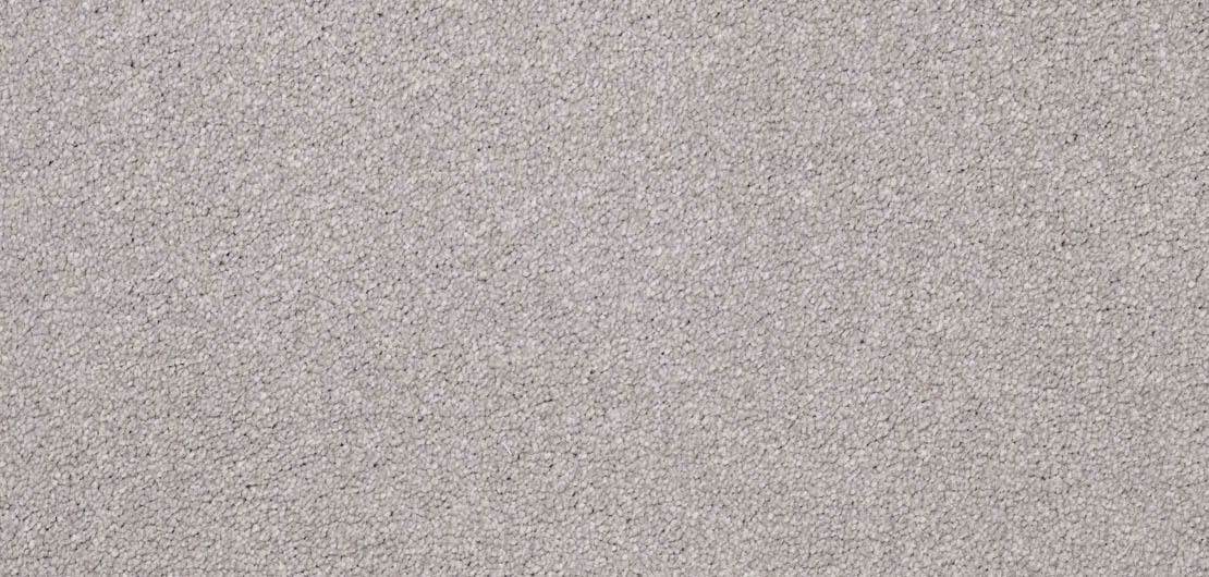 Serenity Quartzite Carpet Flooring