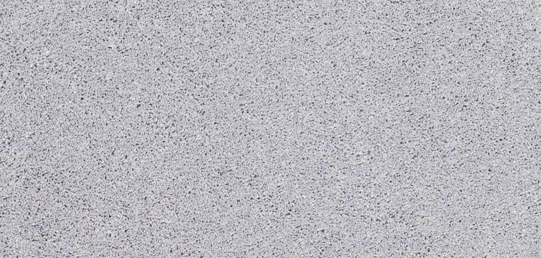 Solitaire Titanium Carpet Flooring