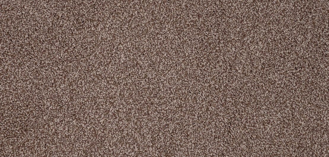 Vivace Maple Carpet Flooring