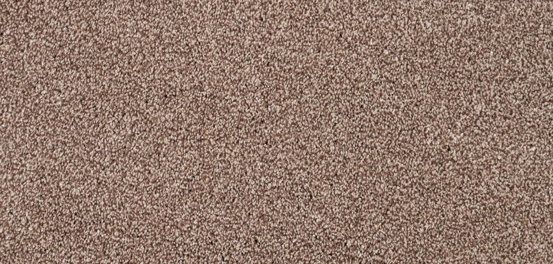 Vivace Ash Carpet Flooring