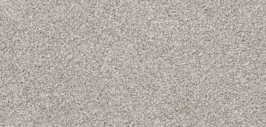 Vivace Sierra Carpet Flooring